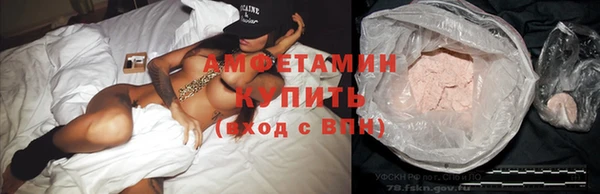 PSILOCYBIN Аркадак