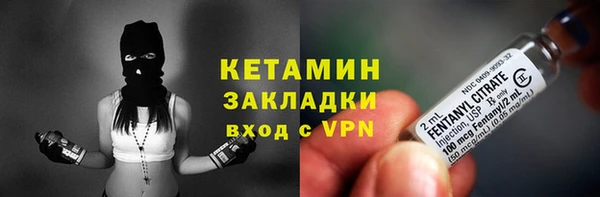 PSILOCYBIN Аркадак