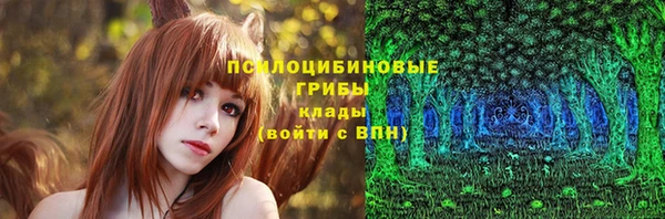 PSILOCYBIN Аркадак