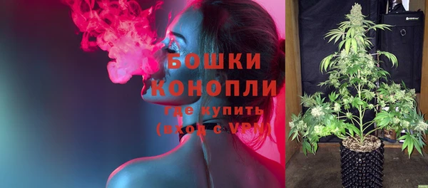 PSILOCYBIN Аркадак
