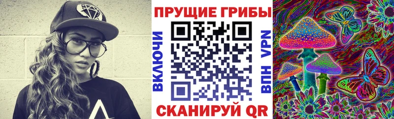 Псилоцибиновые грибы прущие грибы blacksprut ссылка Чудово магазин наркотиков